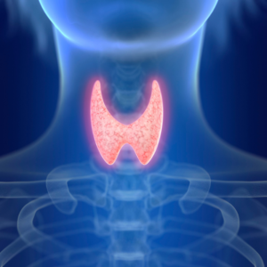 Auto-Immune Thyroid Function Test