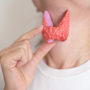 Basic Thyroid Panel