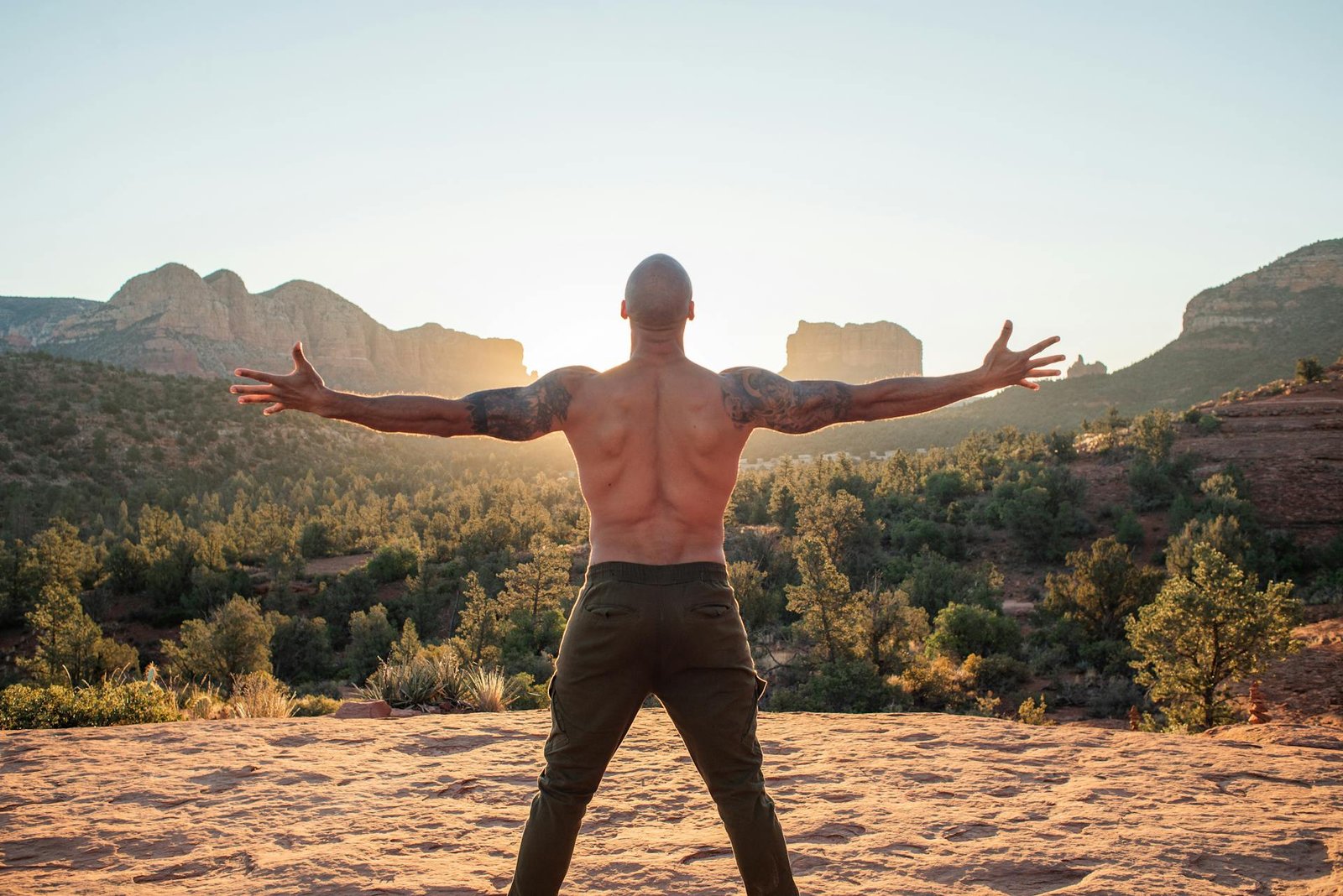 Vitality and Energy Blood Test