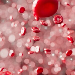 Iron Studies & Full Blood Count